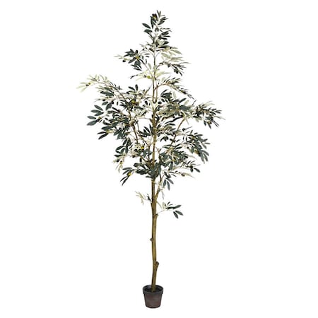 Vickerman 7 ft. Potted Olive Tree 1175-Leaves TB180584